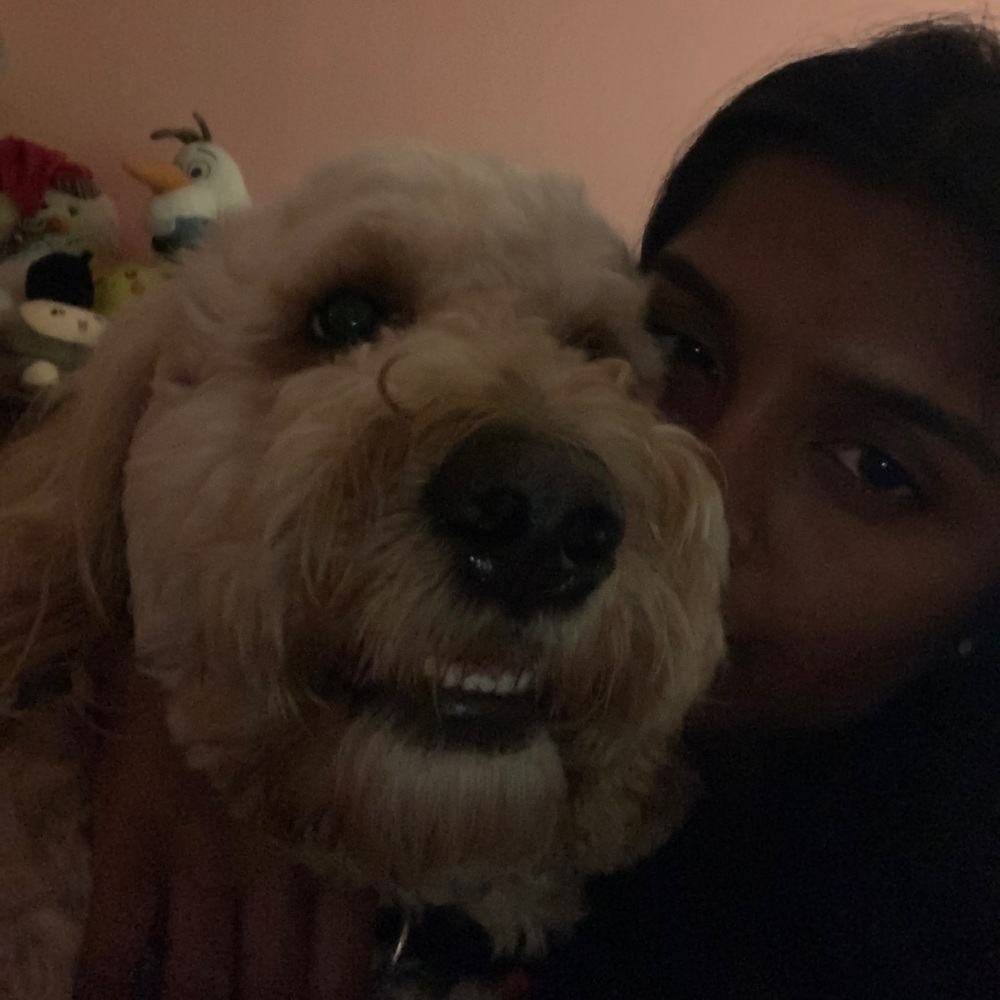 Meet your Posher, Sonika
